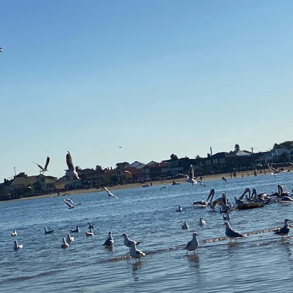 Meet your Posher, Joan - Picture 1 of 1